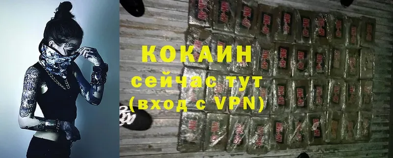 COCAIN Боливия  Канаш 